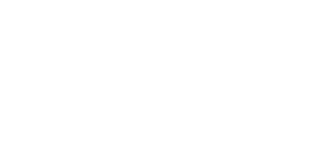 MNC Data Solutions
